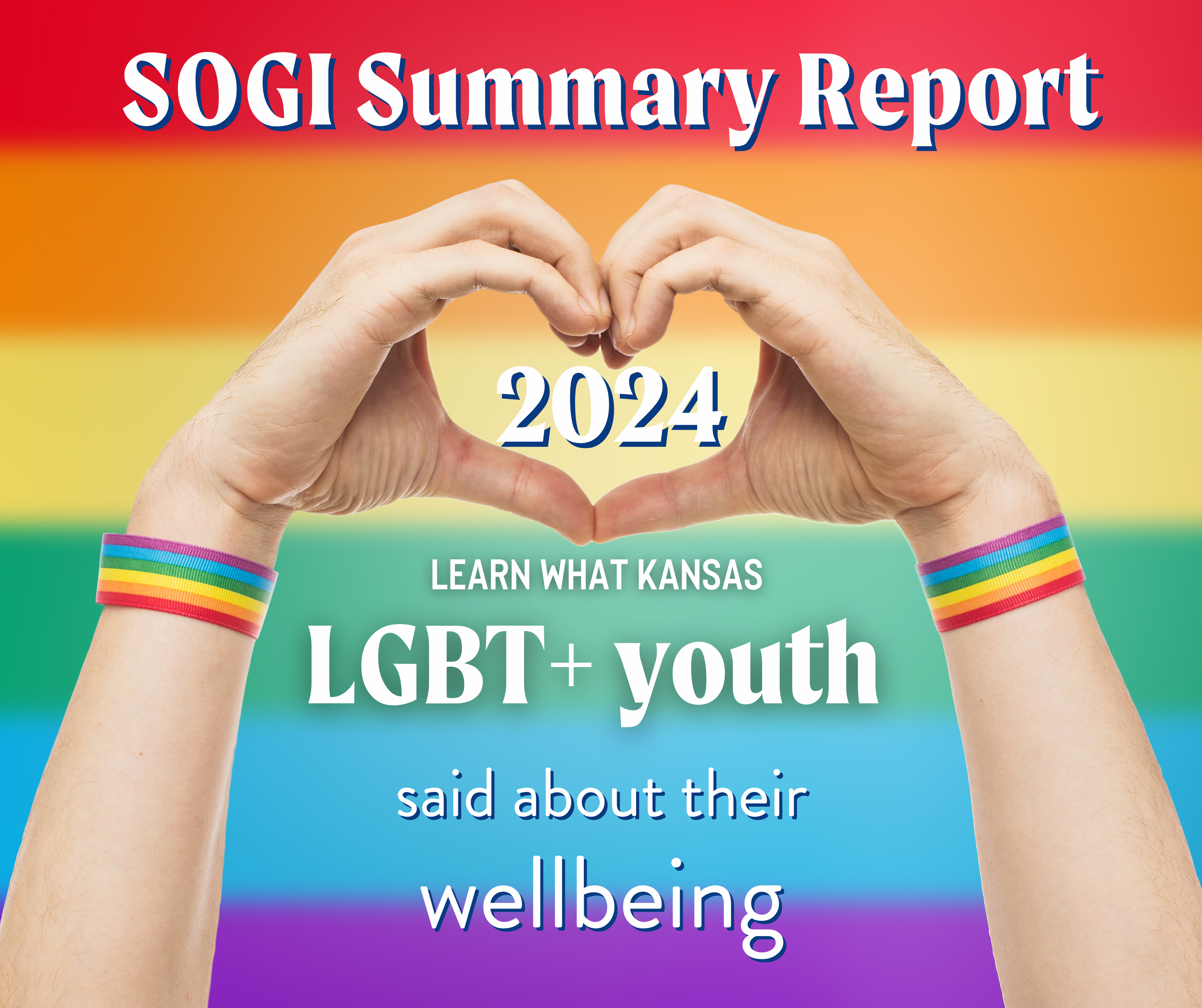 SOGI Report 2024