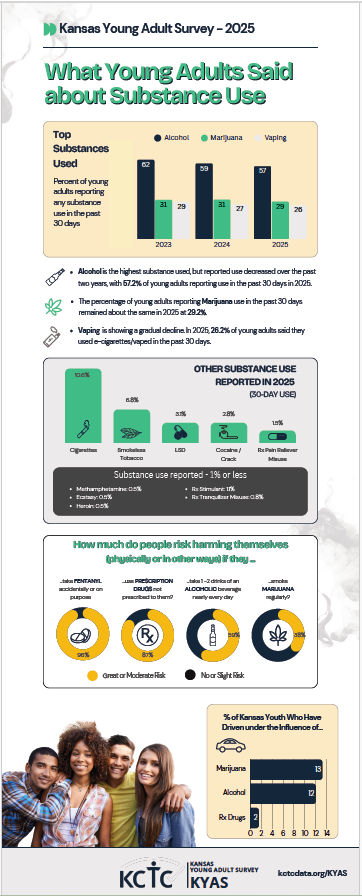Young Adult Substance Use Infographic 2025